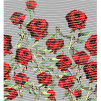 Valentine's Day-QRJ  927